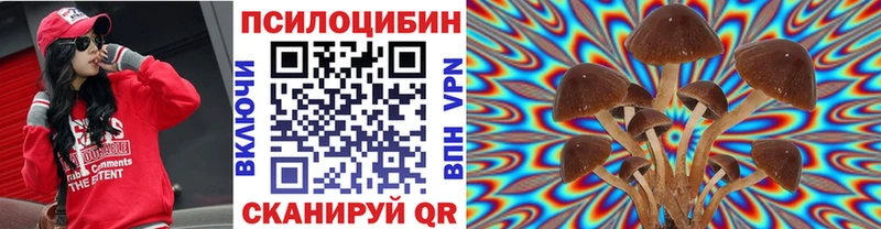 Псилоцибиновые грибы Psilocybe  продажа наркотиков  Липки 
